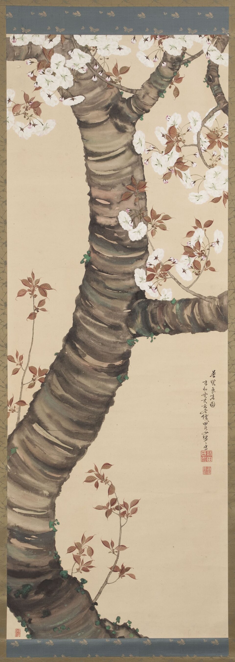 Blossoming Cherry