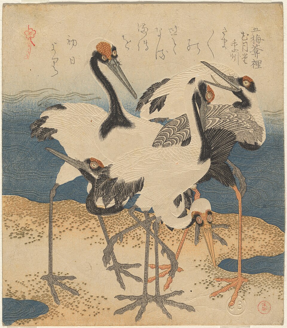 Five cranes on a spit of sand (CBL J 2284)