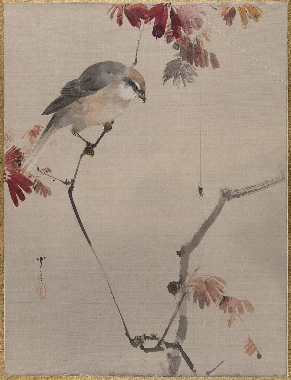Bird on Branch Watching Spider