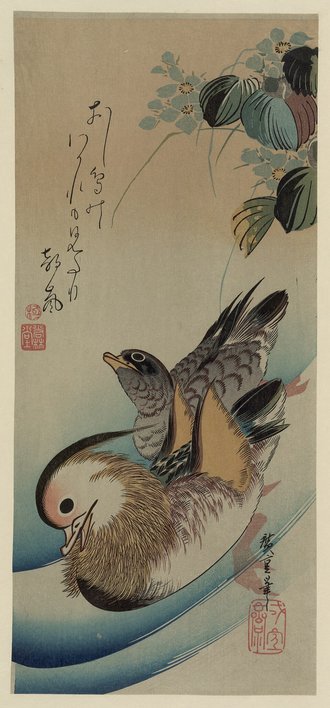 水葵に鴛鴦