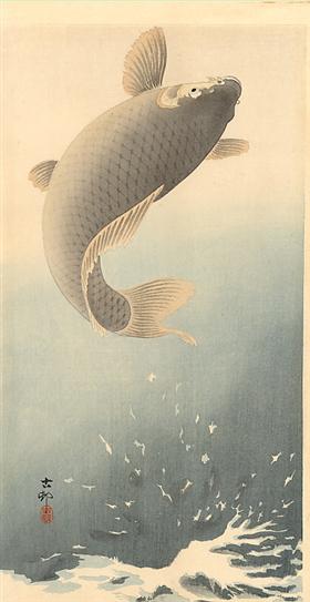 鯉
