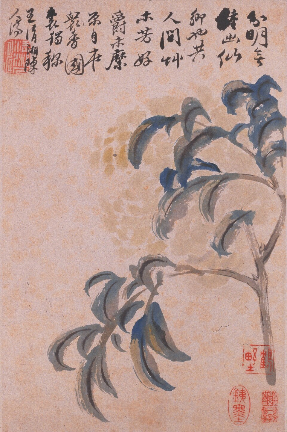 清  石涛  花卉册