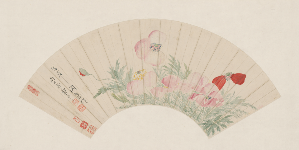 恽寿平罂粟花图扇页