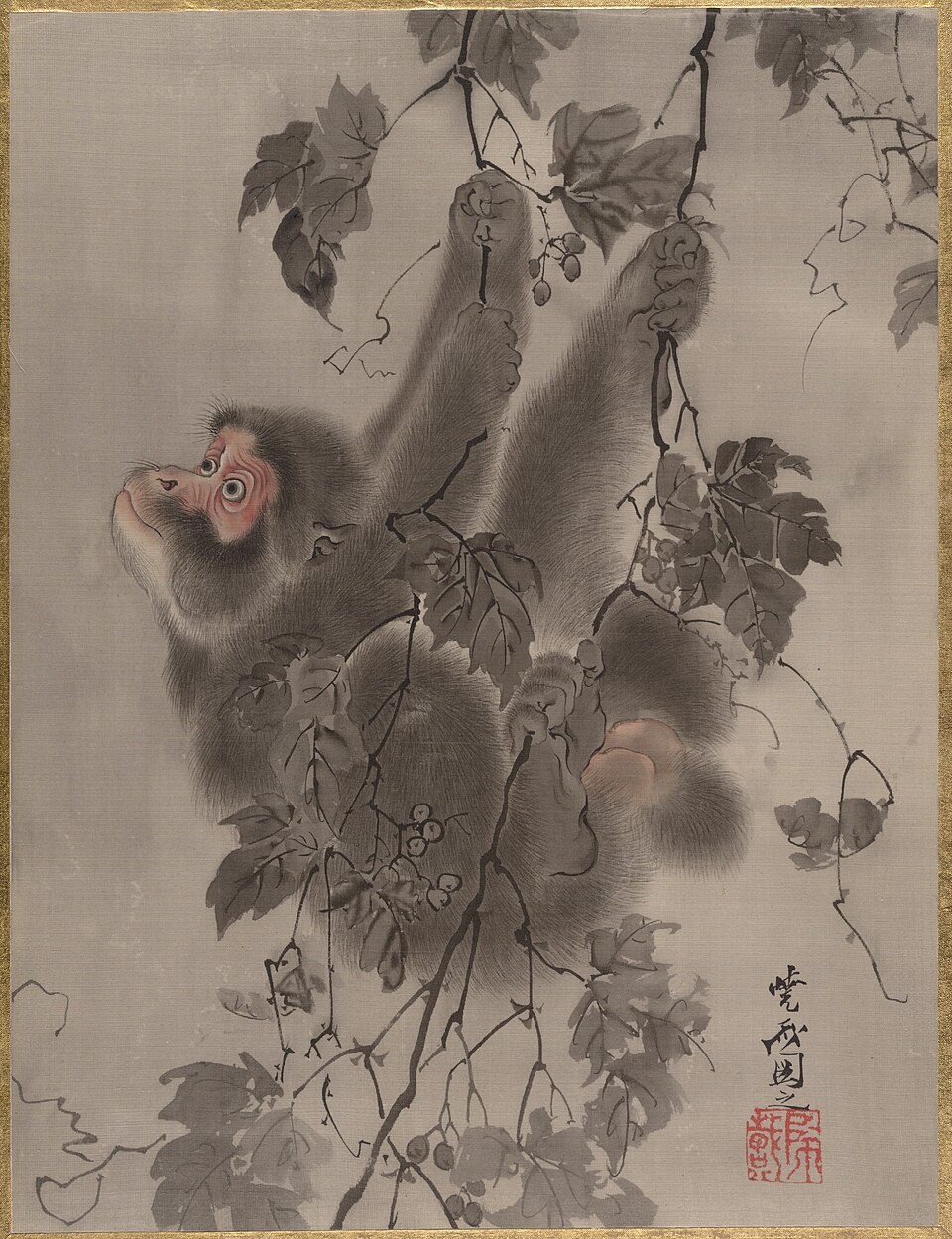 Monkey Hanging from Grapevines