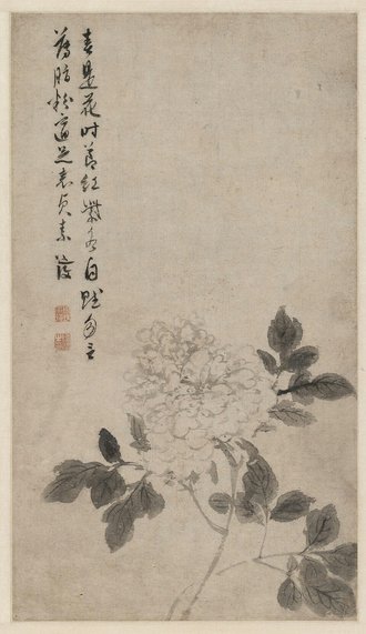 陈道复牡丹花卉图轴