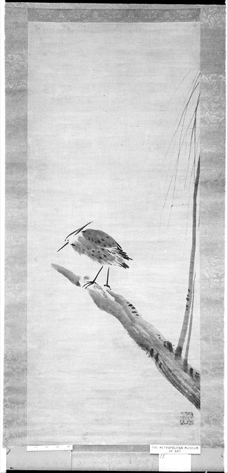 Heron and Willow