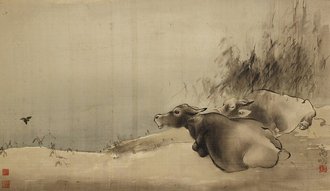 Two Water Buffaloes