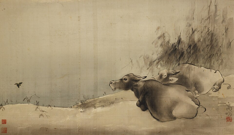 Two Water Buffaloes