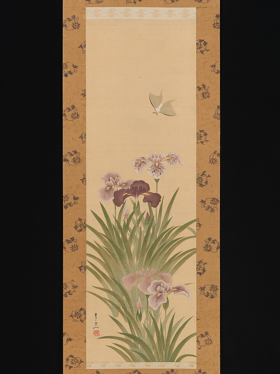 Irises and Moth