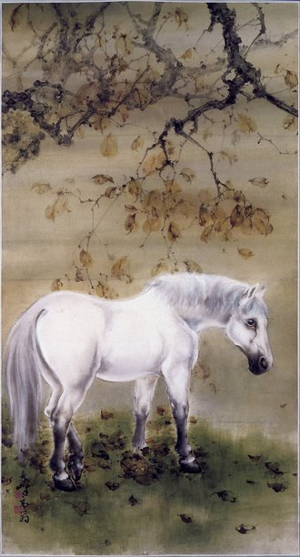 White horse
