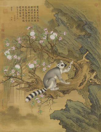 清郎世寧畫交阯果然　軸