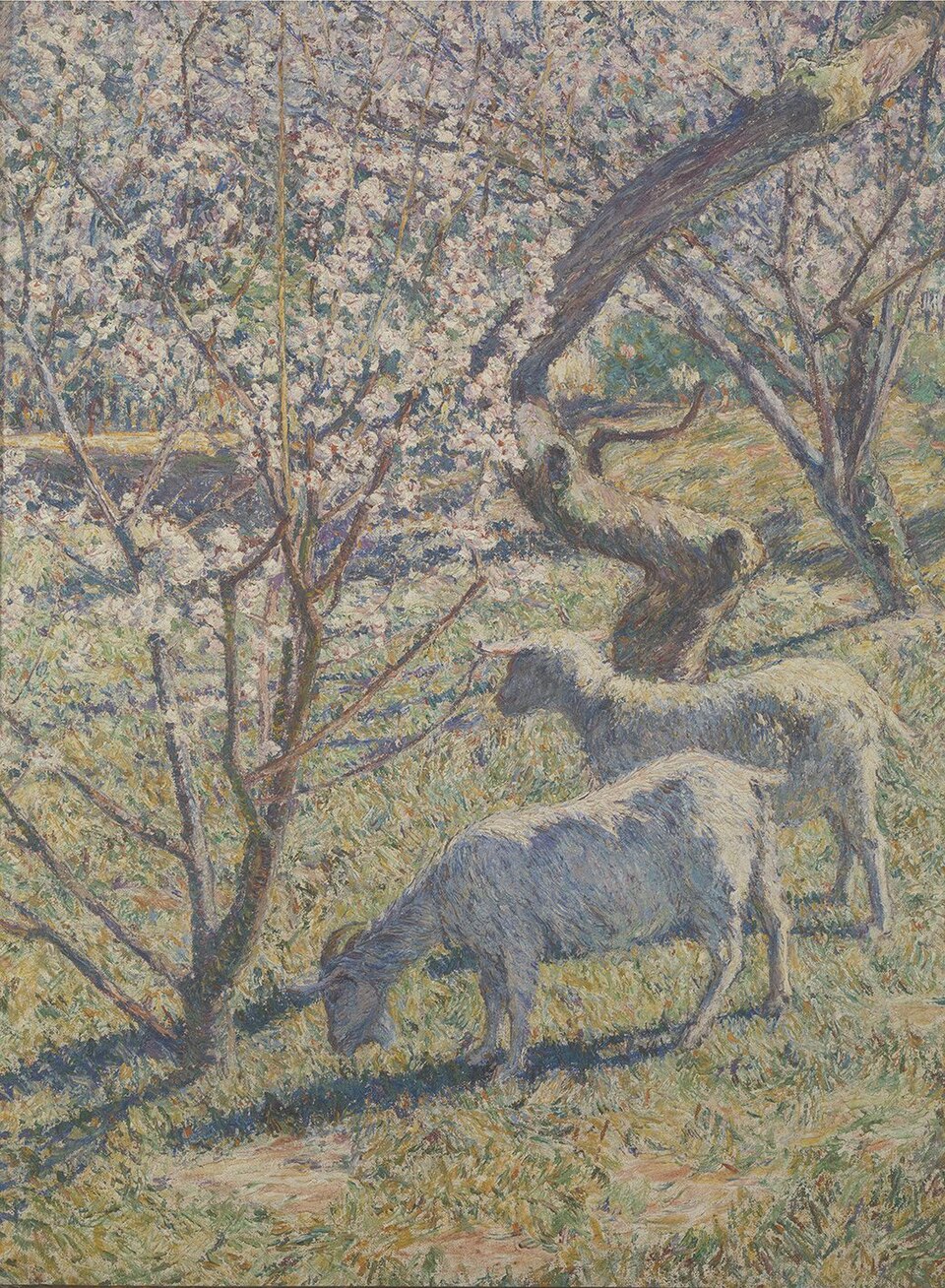 Spring Light
