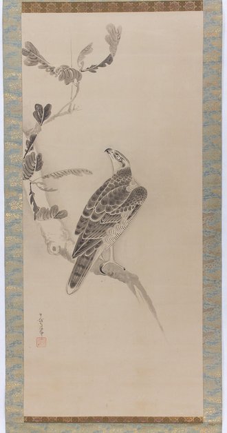 Hawks (Taka zu)