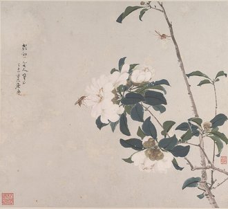 Insects and Flowers