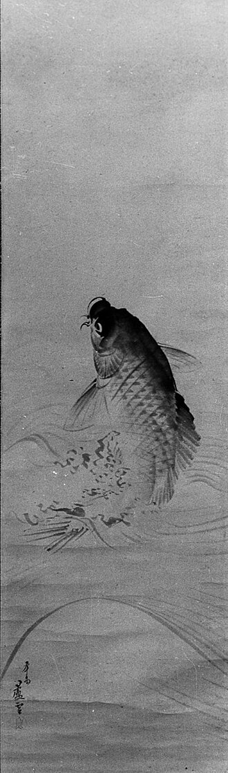 Carp