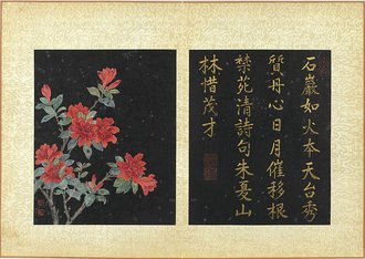 Japanese Kerria