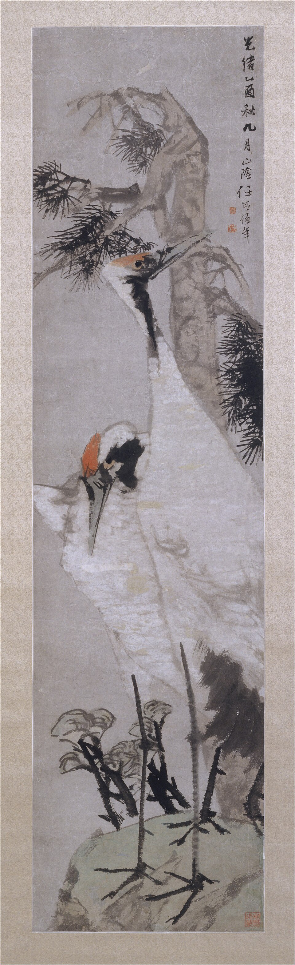 Cranes, Pine Tree, and Lichen