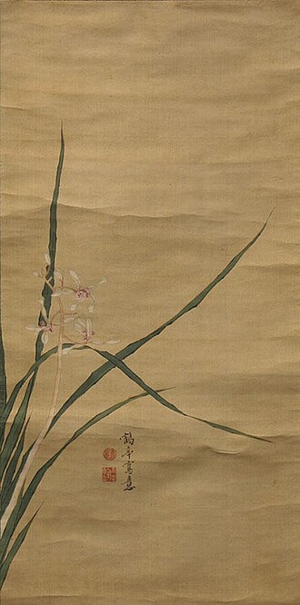 Pink Orchid