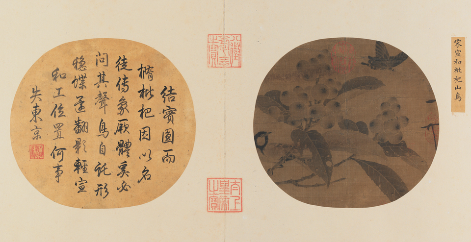赵佶枇杷山鸟图页