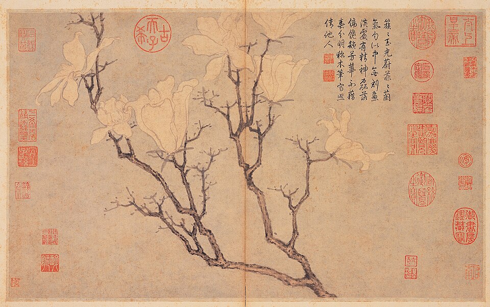 明沈周寫生　冊　玉蘭