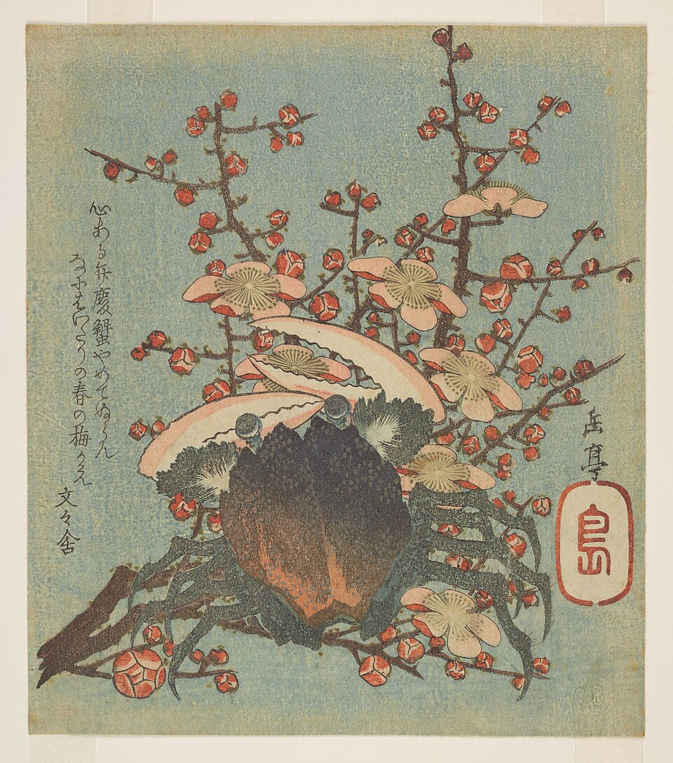 Benkei crab and plum blossom