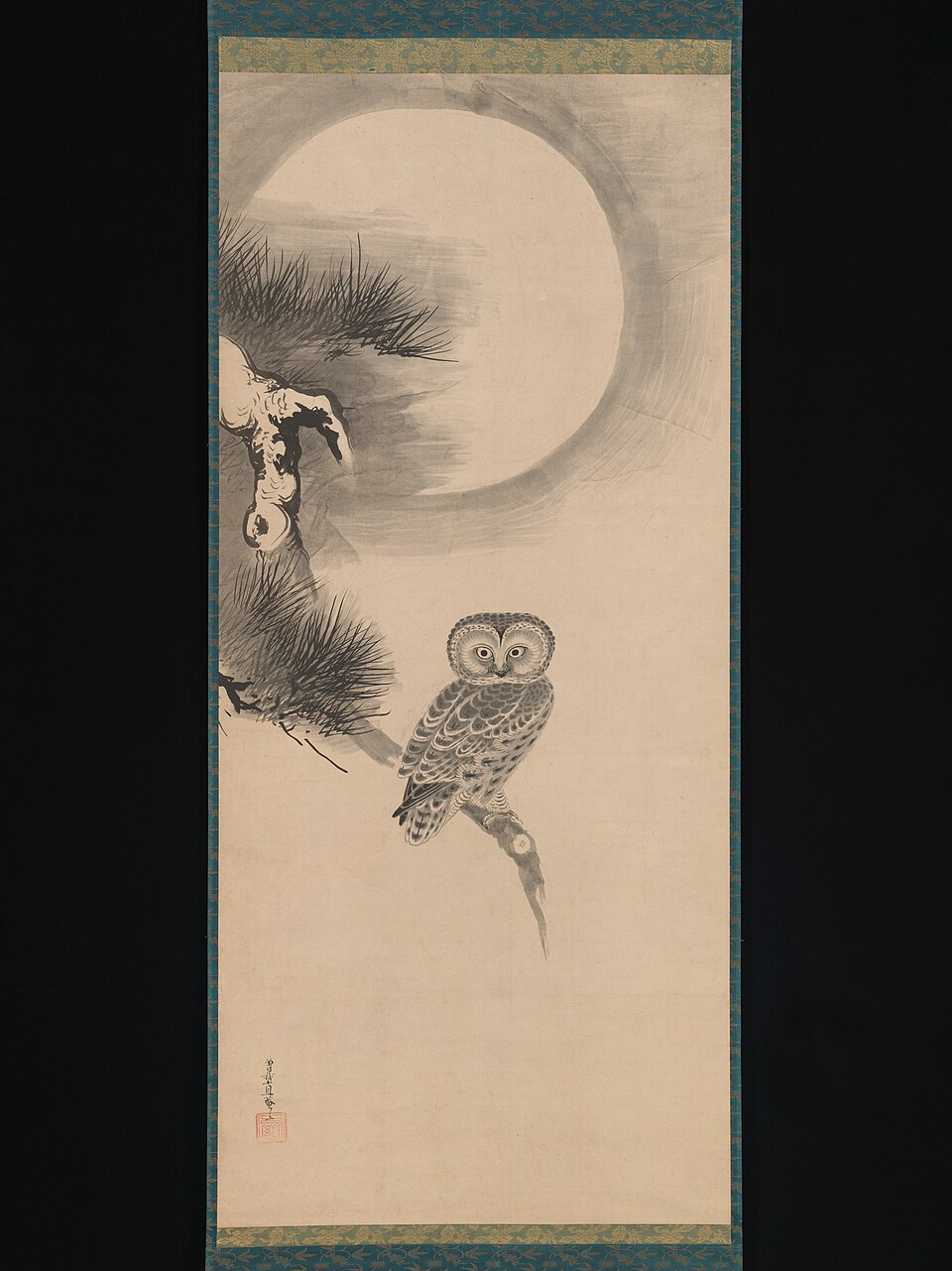 Owl on a Pine Branch