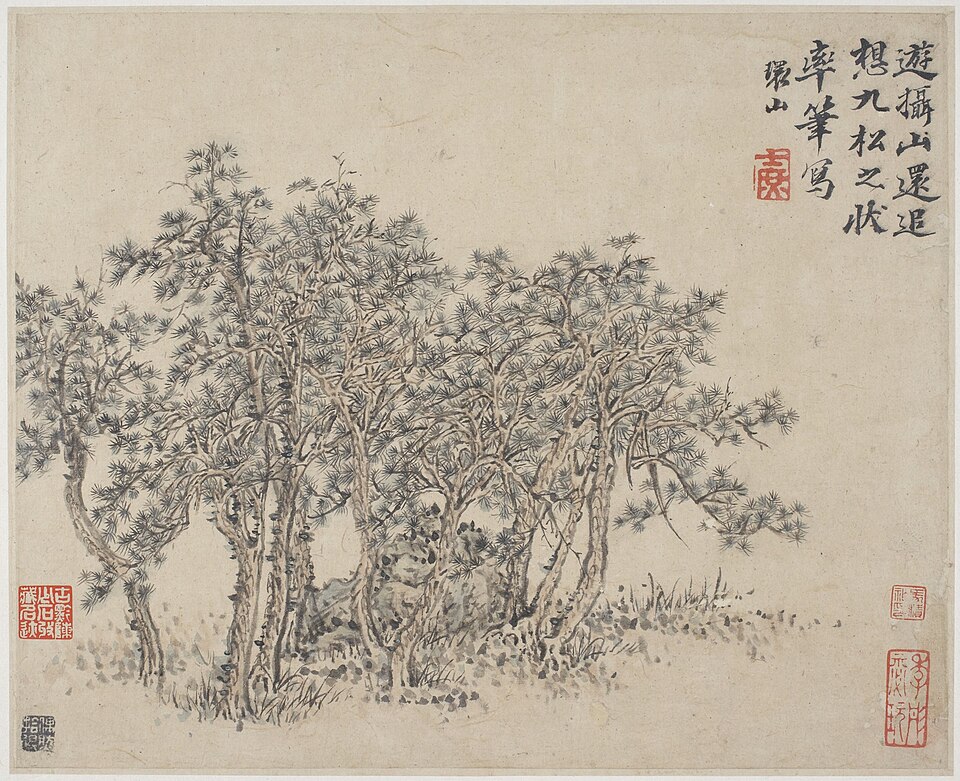 Album of Landscapes, Plants, Figures and Animals: Grove of Pines