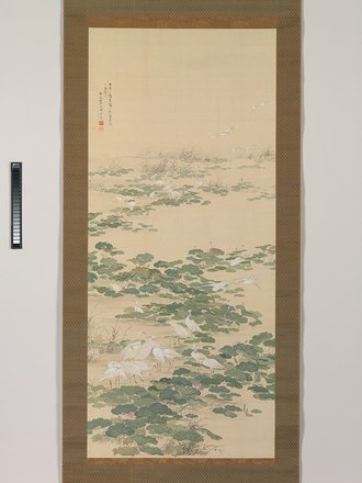 Egrets in a Lotus Pond