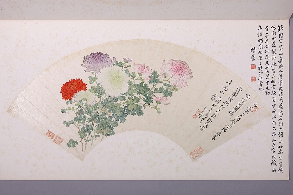 钱楷菊花图扇页