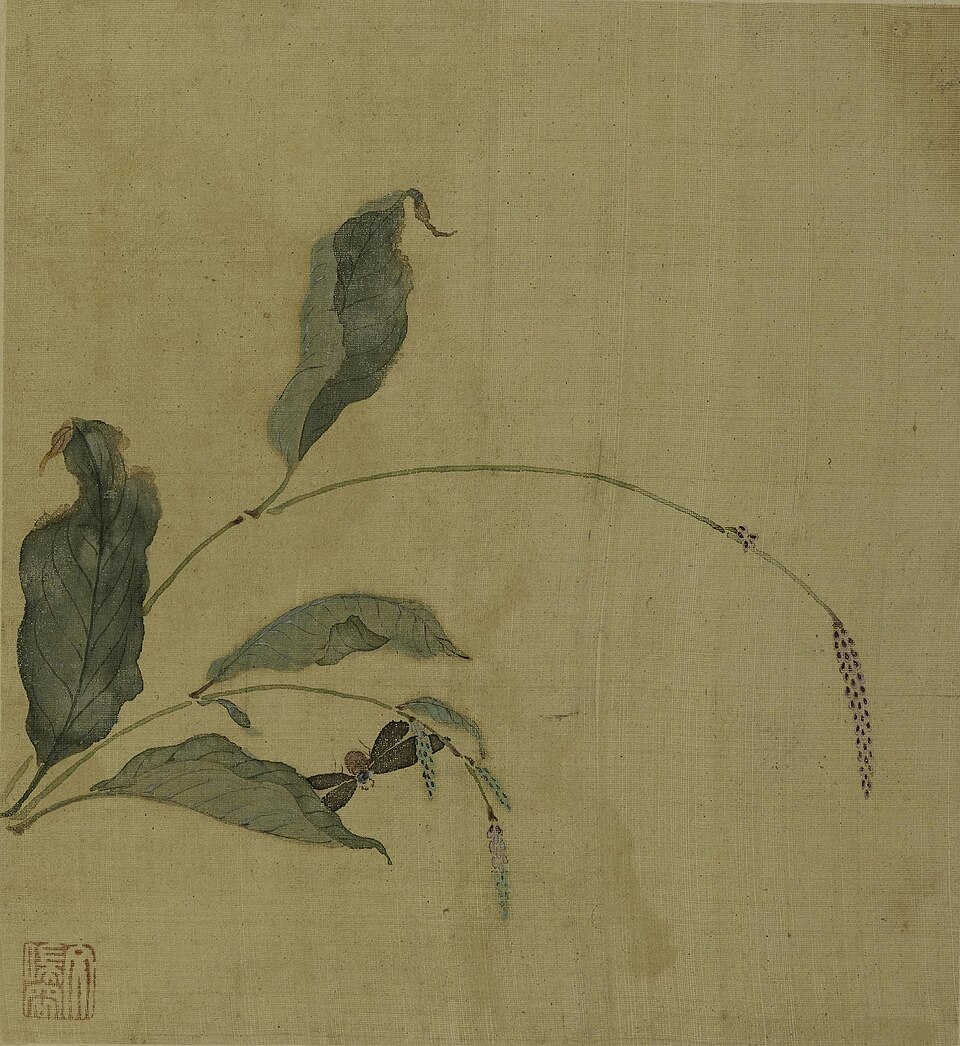 明 文俶 花鸟草虫图册