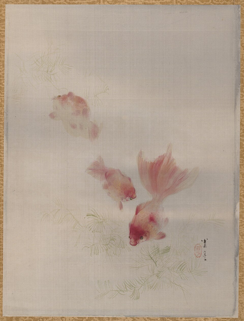 Goldfish