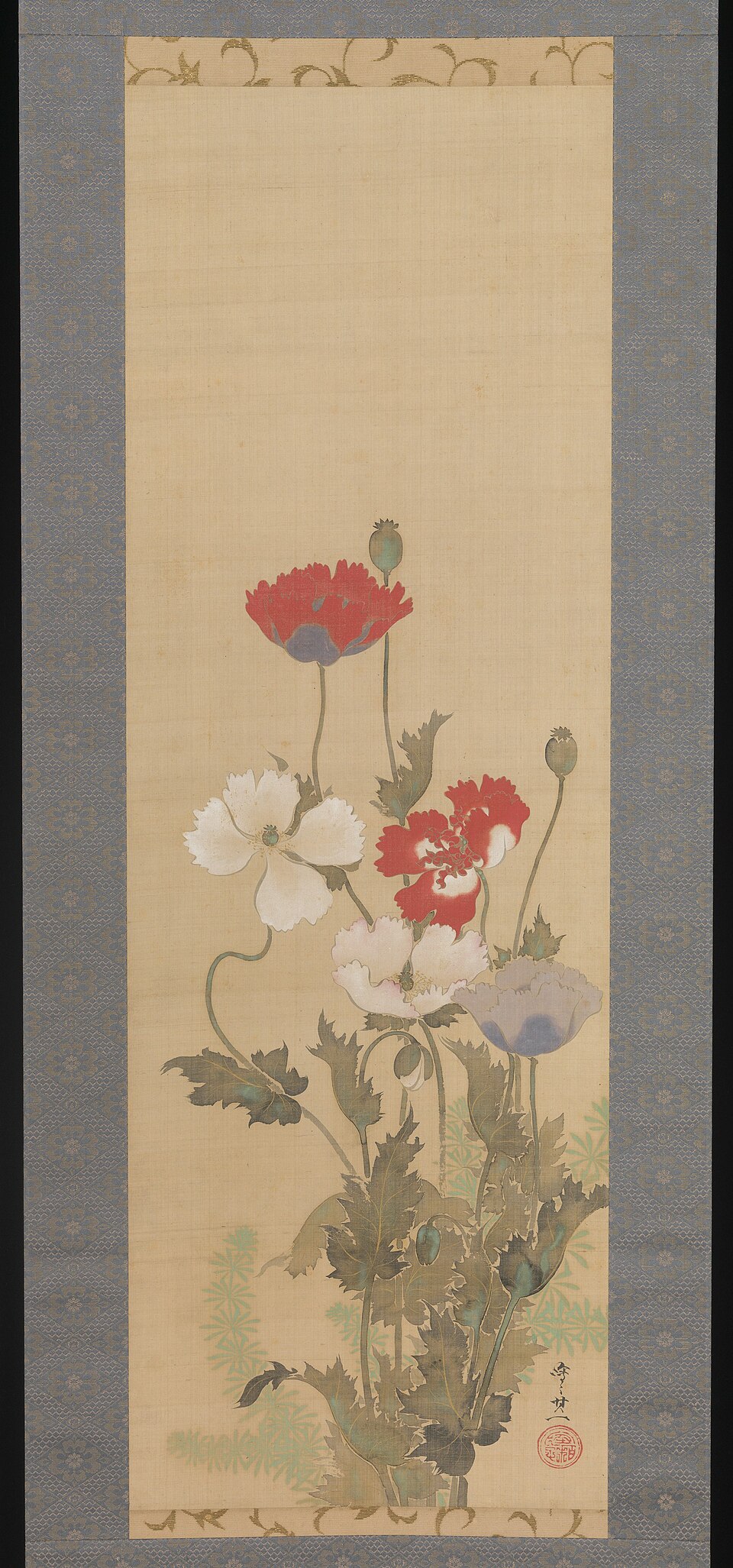 Poppies