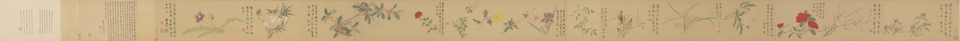 孙克弘百花图卷