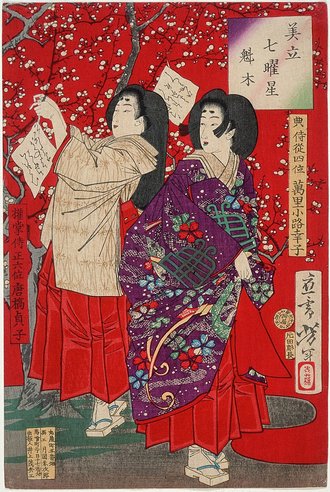 美立七曜星 魁木