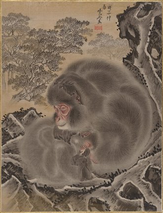 Monkeys