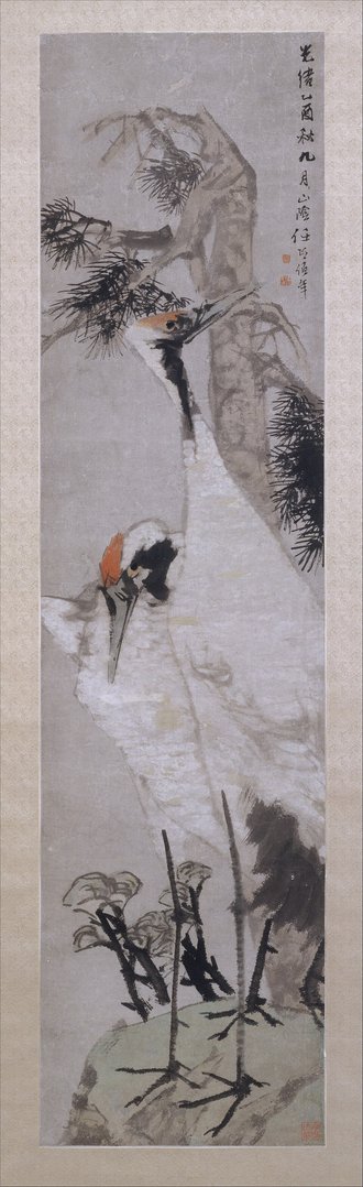 Cranes, Pine Tree, and Lichen