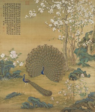 清郎世寧孔雀開屏 軸