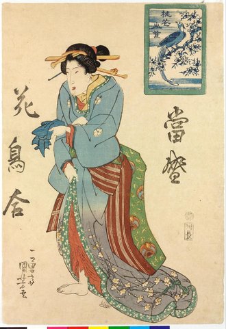 当盛花鳥合 桃花山雀