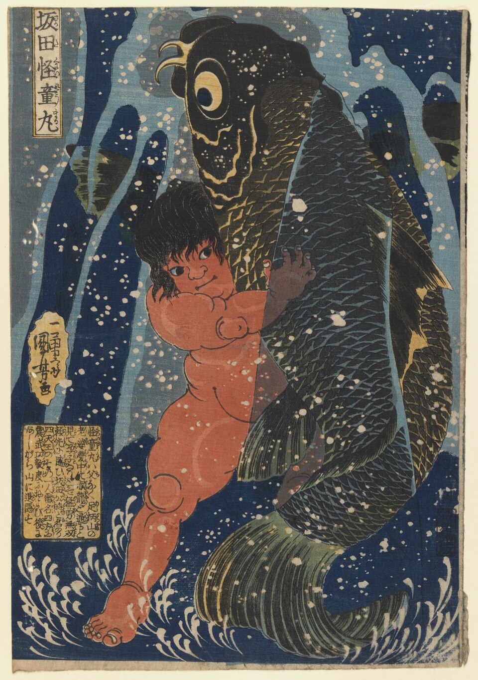 坂田怪童丸