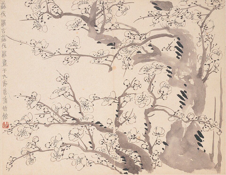 清  金农  墨梅图册