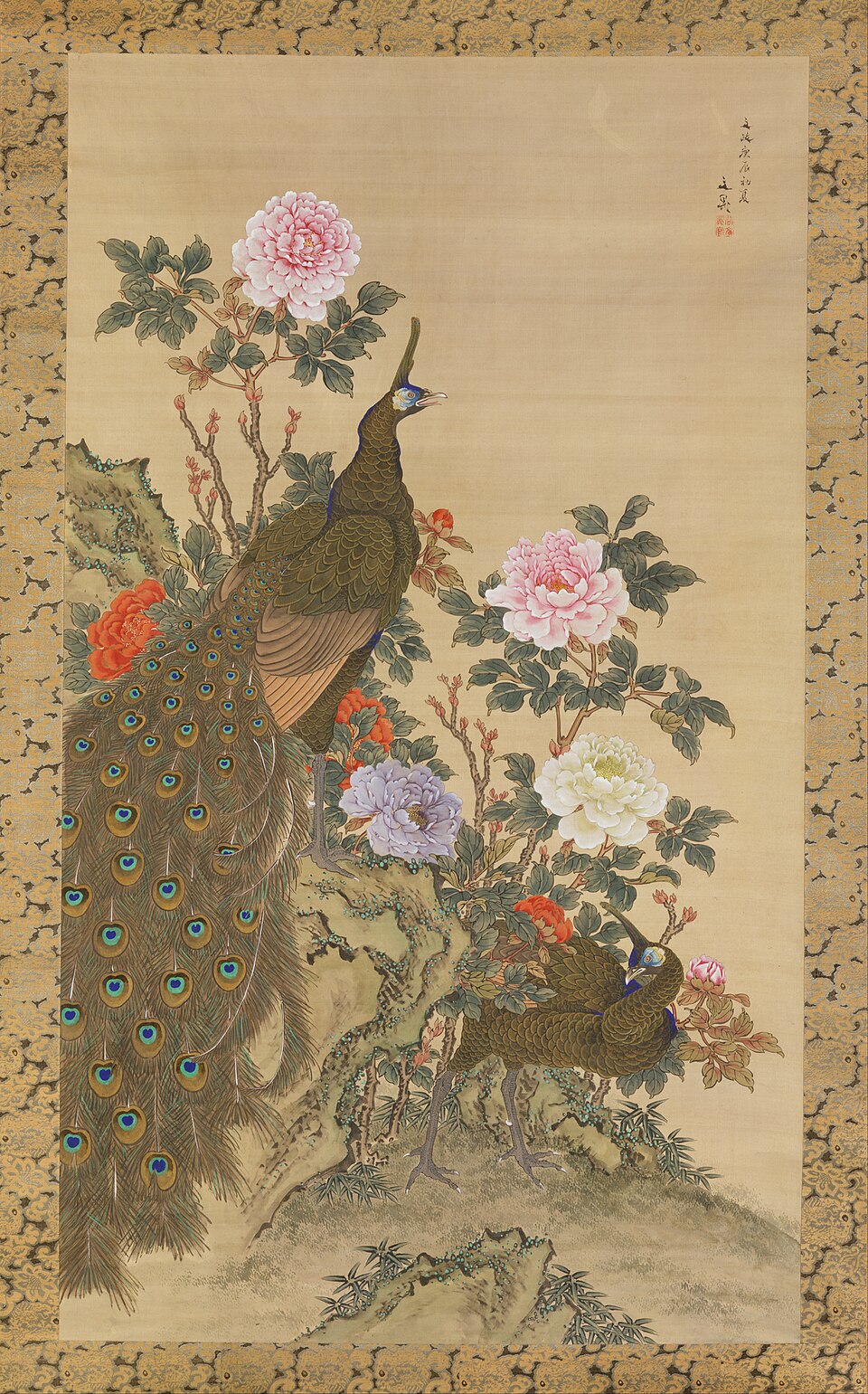 Peacocks and Peonies