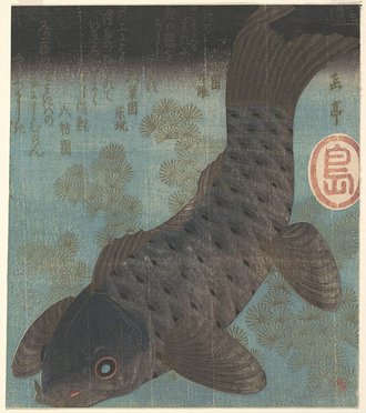 Carp and Pine