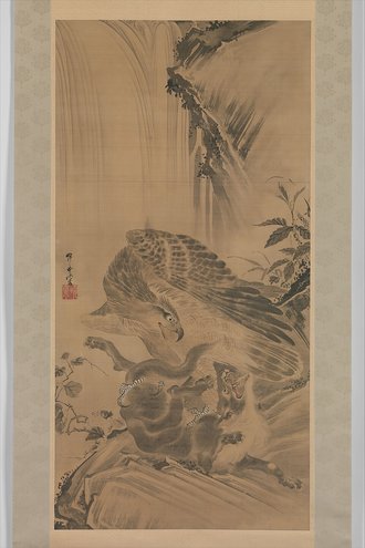 Eagle Attacking a Mountain Lion
